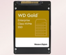 西部数据推出面向中小型企业的SSD产品-新金盘