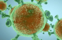 英伟达GPU助力新冠肺炎病毒研究,免费开放基因测试组软件